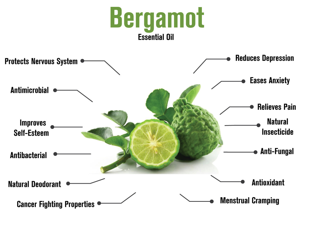 092517_bergamot_infographic__34959