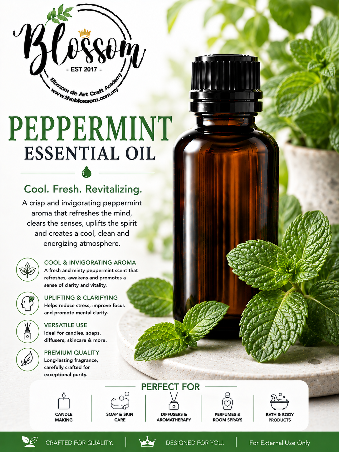 Peppermint Essential Oil Peppermint Essential Oil
