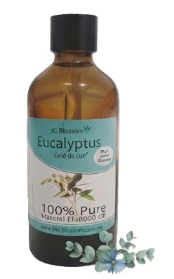 Ecalyptus eo1