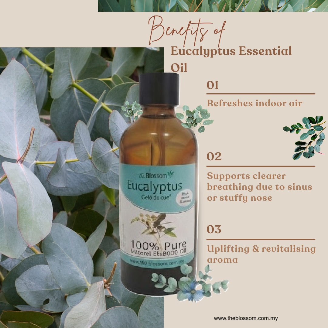 Eucalyptus_Benefit