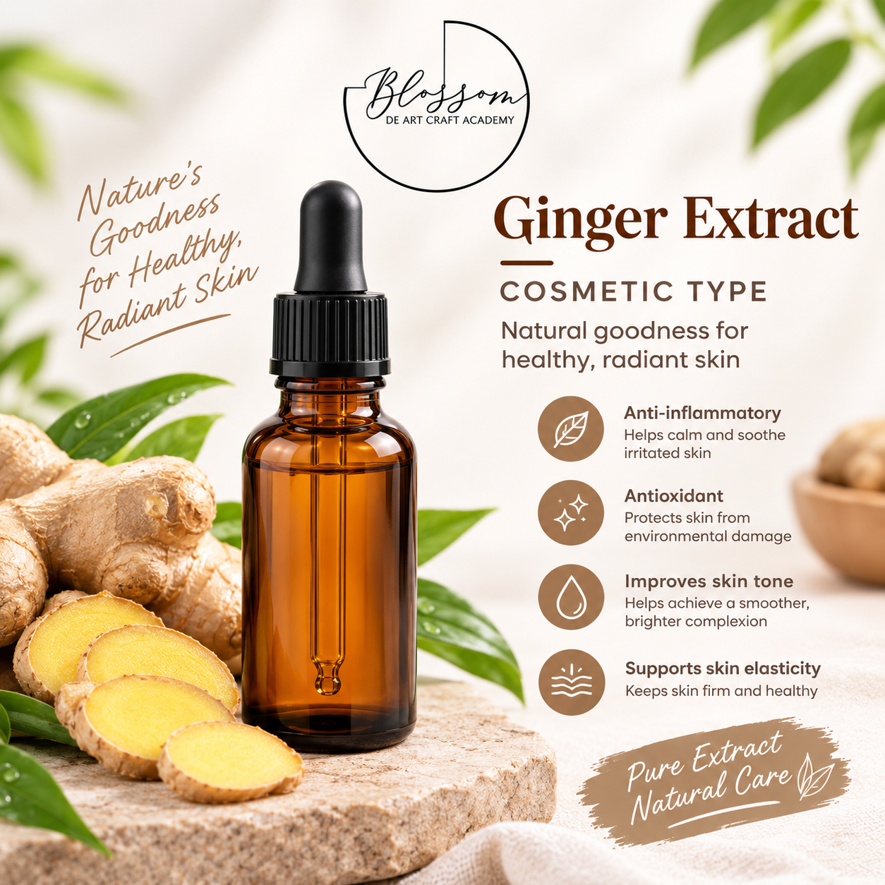 Ginger Extract Ginger Extract