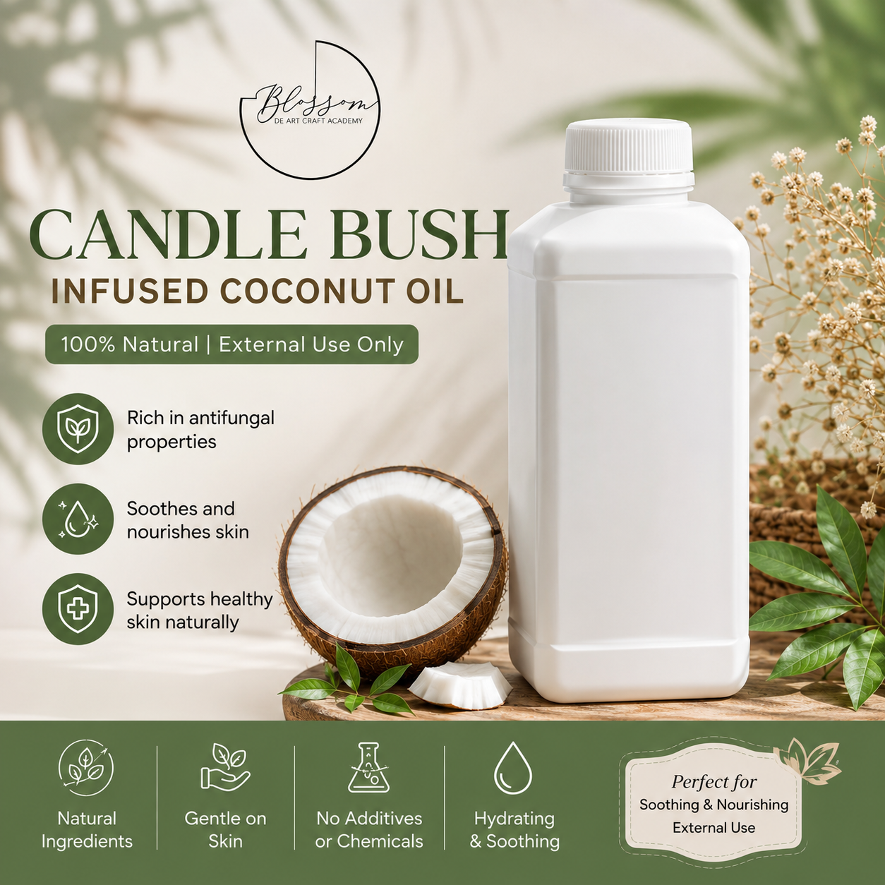 Candle Bush Infused Coconut Oil