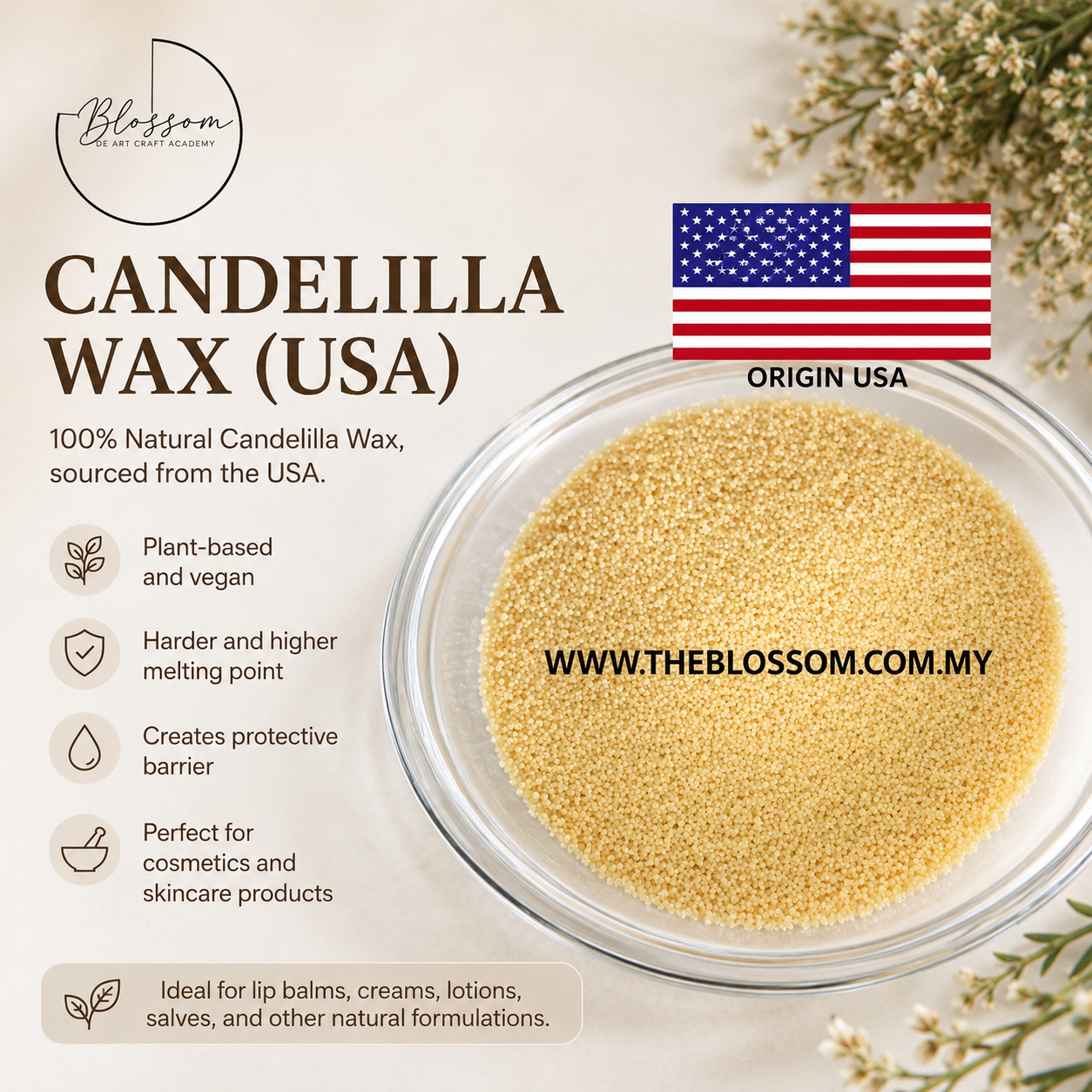 Candelilla Wax (USA) Candelilla Wax (USA)