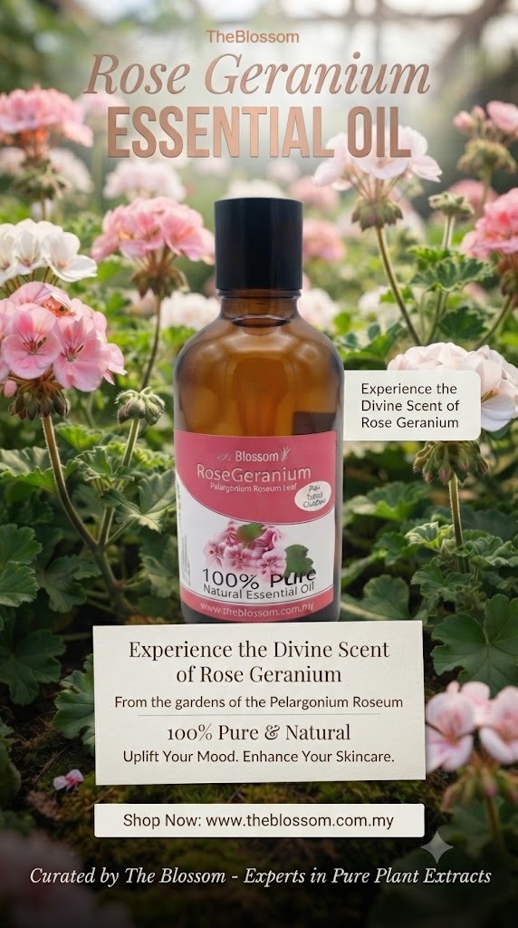 rose geranium eo 2