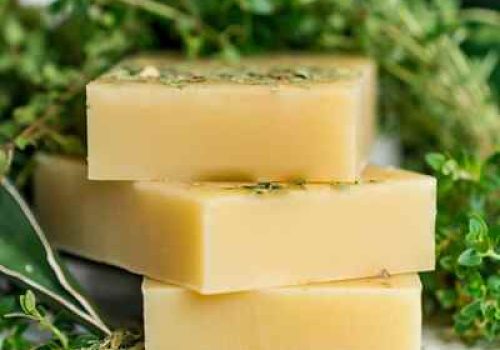 natural-neem-soap-and-shampoo-bar-2-1.jpg